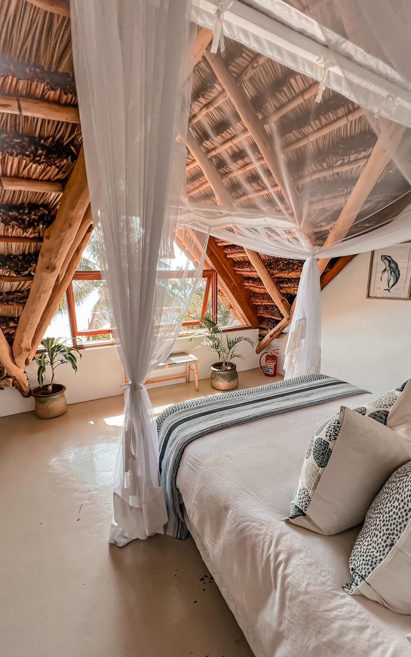 Dugong Suite