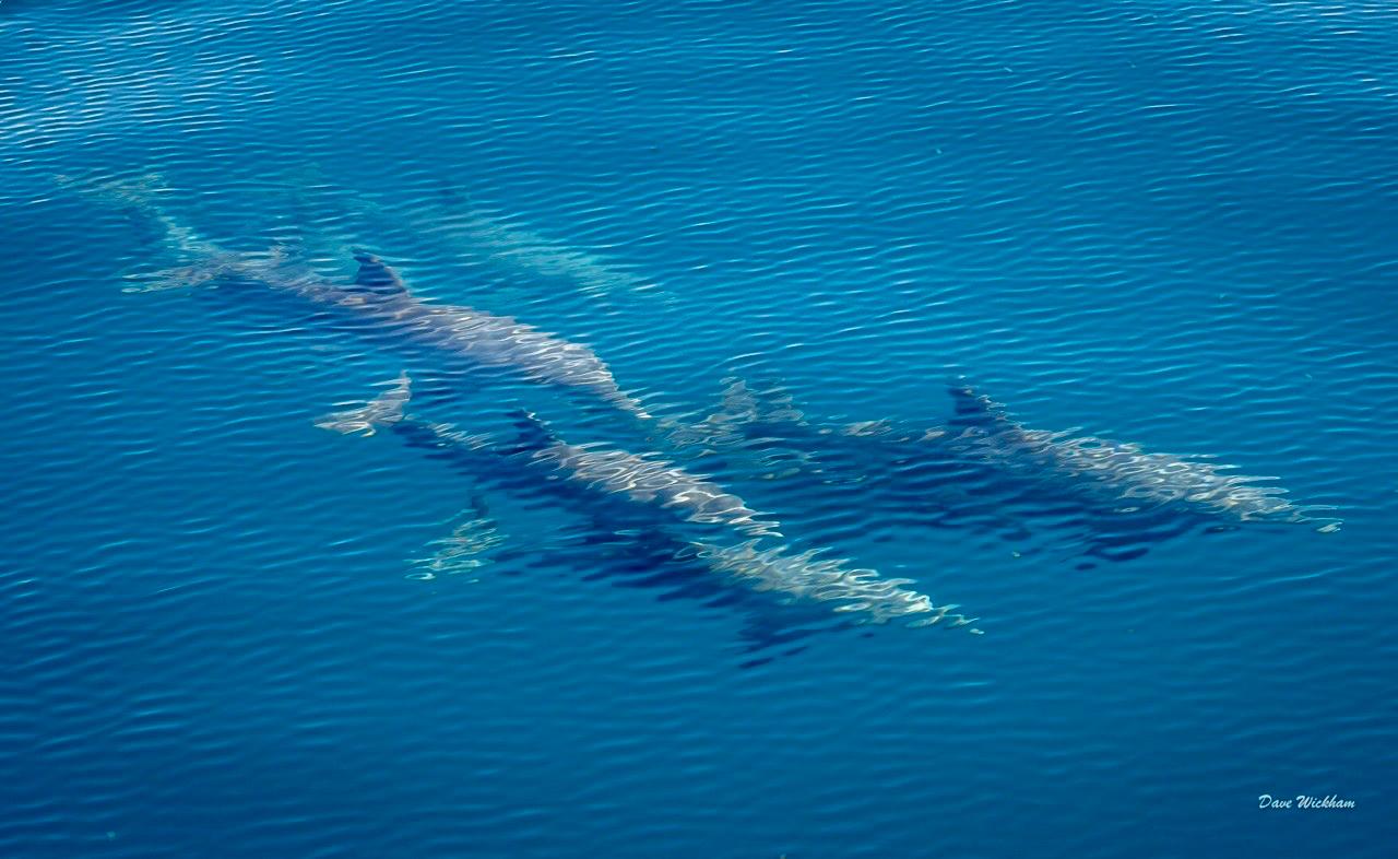 Bazaruto islands