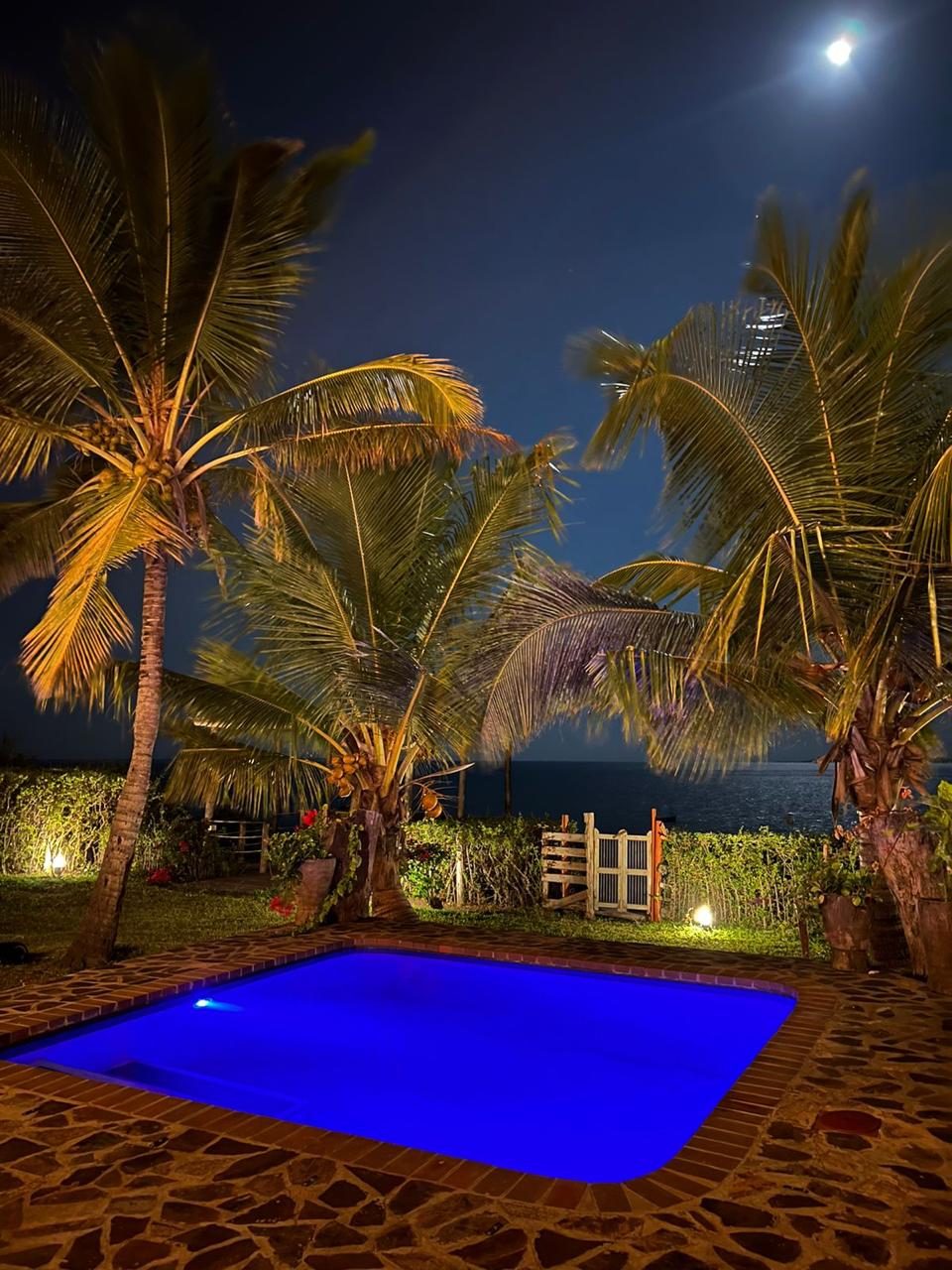 Pool and garden