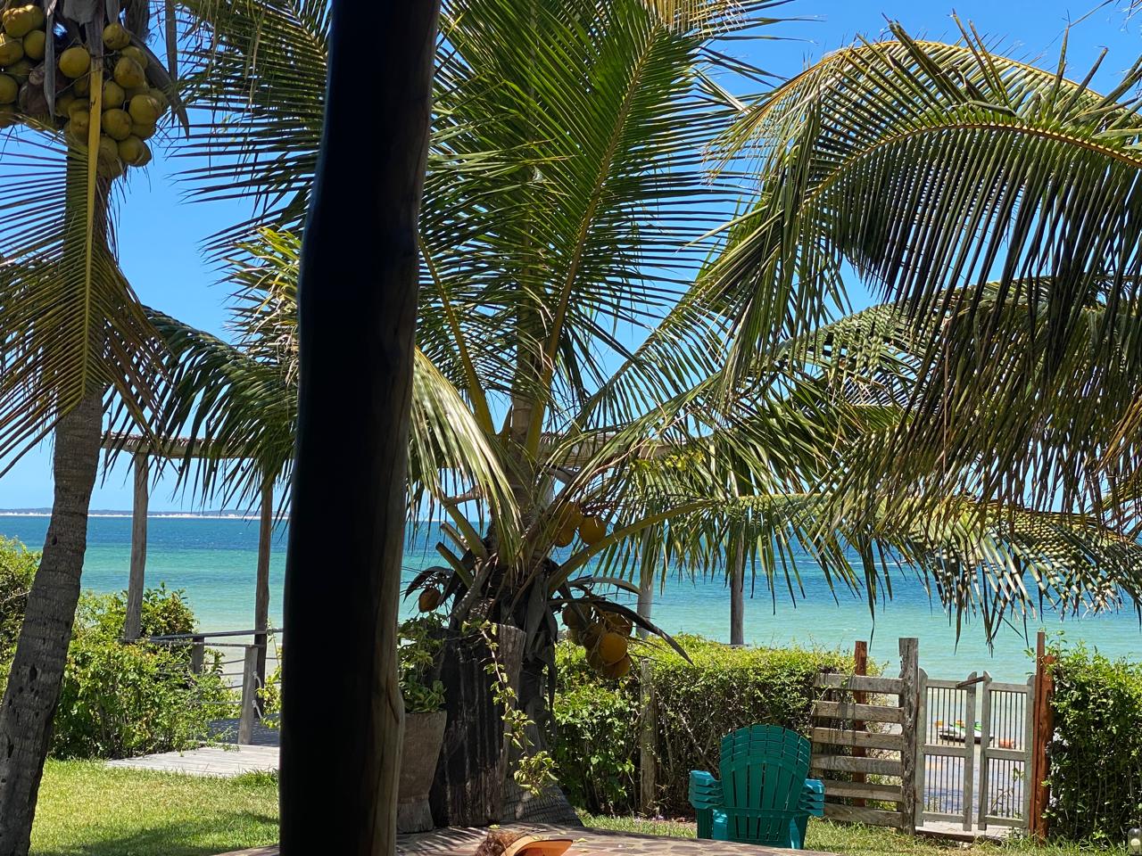 Lush garden with coconut palms framing the turquoise Indian Ocean
